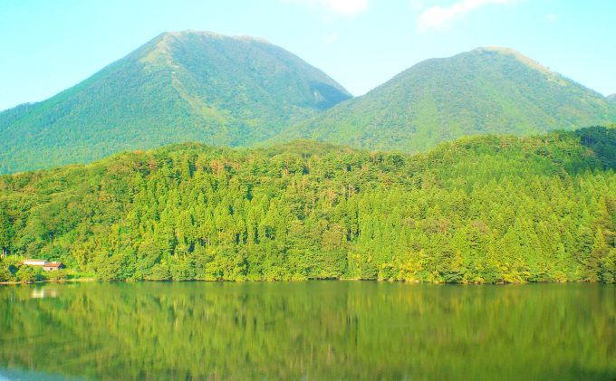 島根県美郷町のふるさと納税 令和7年産 美郷きぬむすめ 10kg（5kg×2袋）【米 お米 精米 白米 ブランド米 きぬむすめ 10kg 5kg×2袋 2025年産】