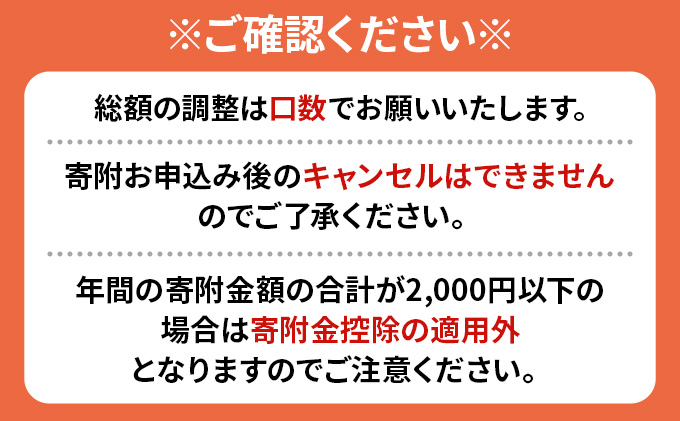 洞爺湖町 寄附のみの応援受付 2,000円コース（返礼品なし 寄附のみ 2000円） 支援 自治体支援 お礼の品なし 北海道 洞爺湖町の発展 ふるさと応援 ふるさと支援 