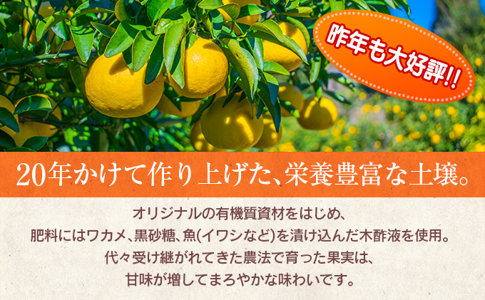 宮崎県日南市のふるさと納税 先行予約 訳あり 海藻木酢 日向夏 小夏 計4kg以上 傷み補償分付き 期間限定 数量限定 フルーツ 果物 くだもの 柑橘 みかん 訳アリ 国産 食品 デザート おやつ おすそ分け おすすめ ご家庭用 ご自宅用 B品 傷 マーマレード 産地直送 宮崎県 日南市 送料無料_ZZ19-23
