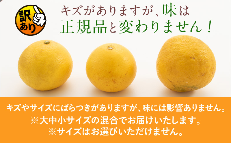 宮崎県日南市のふるさと納税 先行予約 訳あり 海藻木酢 日向夏 小夏 計4kg以上 傷み補償分付き 期間限定 数量限定 フルーツ 果物 くだもの 柑橘 みかん 訳アリ 国産 食品 デザート おやつ おすそ分け おすすめ ご家庭用 ご自宅用 B品 傷 マーマレード 産地直送 宮崎県 日南市 送料無料_ZZ19-23