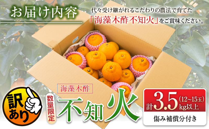 宮崎県日南市のふるさと納税 先行予約 訳あり 海藻木酢 不知火 計3.5kg以上 傷み補償分入り 期間限定 数量限定 フルーツ 果物 くだもの 柑橘 みかん 訳アリ 国産 食品 デザート おやつ おすそ分け おすすめ ご家庭用 ご自宅用 B品 傷 マーマレード 産地直送 宮崎県 日南市 送料無料_ZZV1-24