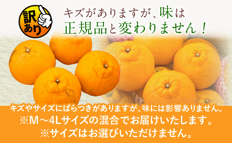 宮崎県日南市のふるさと納税 先行予約 訳あり 海藻木酢 不知火 計7kg以上 傷み補償分付き 期間限定 数量限定 フルーツ 果物 くだもの 柑橘 みかん 訳アリ 国産 食品 デザート おやつ おすそ分け おすすめ ご家庭用 ご自宅用 B品 傷 マーマレード 産地直送 宮崎県 日南市 送料無料_BBV2-24