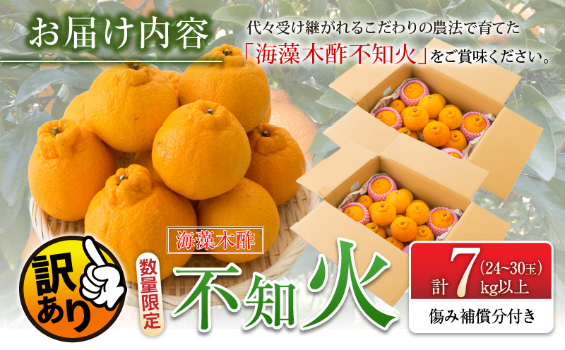 宮崎県日南市のふるさと納税 先行予約 訳あり 海藻木酢 不知火 計7kg以上 傷み補償分付き 期間限定 数量限定 フルーツ 果物 くだもの 柑橘 みかん 訳アリ 国産 食品 デザート おやつ おすそ分け おすすめ ご家庭用 ご自宅用 B品 傷 マーマレード 産地直送 宮崎県 日南市 送料無料_BBV2-24