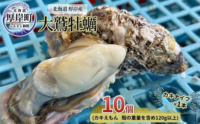 北海道 厚岸産 大鷲牡蠣 10個 カキ 牡蠣 殻牡蠣 魚貝類 海鮮 海の幸 生牡蠣 カキえもん 生食用牡蠣 殻付かき つまみ お酒のあて 