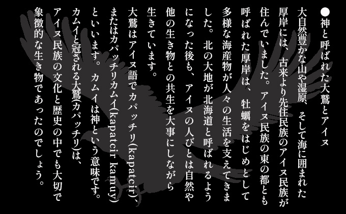 北海道 厚岸産 大鷲牡蠣 10個 カキ 牡蠣 殻牡蠣 魚貝類 海鮮 海の幸 生牡蠣 カキえもん 生食用牡蠣 殻付かき つまみ お酒のあて 
