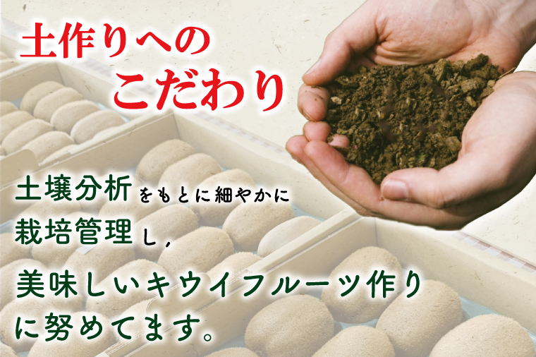 埼玉県春日部市のふるさと納税 【先行予約】【ヘイワード約3.6kg】贈答用大箱大晴農園のキウイフルーツ（BY004-2）