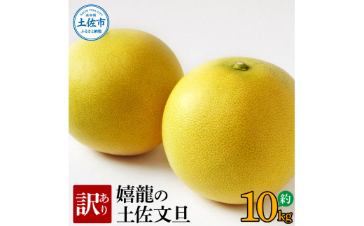 ymysz2026N1{菇󂠂 𗴂̓yU 10L L - SLTCY U Ԃ񂽂 u^ k t[c ʕ 킯 킯A  V~  mY