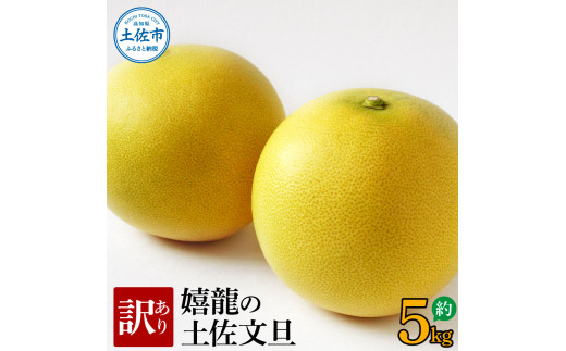 ymysz2026N1{菇󂠂 𗴂̓yU 5L L - SLTCY U Ԃ񂽂 u^ k t[c ʕ 킯 킯A  V~  mY