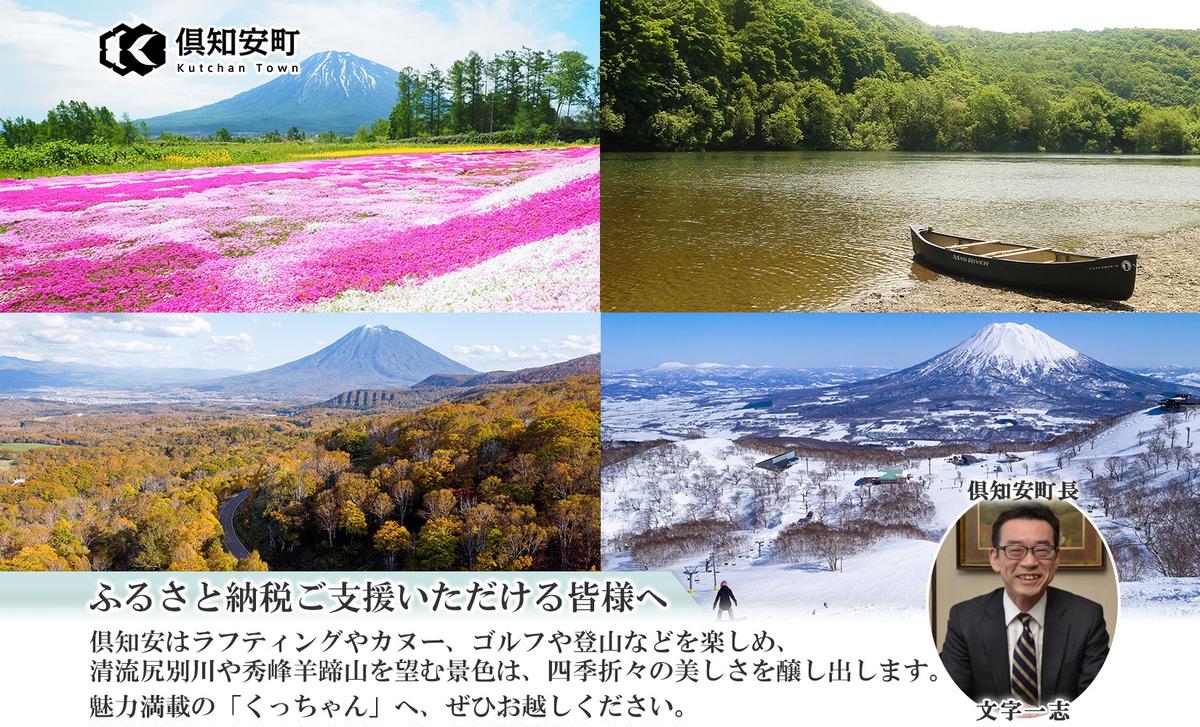 北海道産 じゃがいも 男爵 約20kg じゃが芋 ジャガイモ 芋 いも
