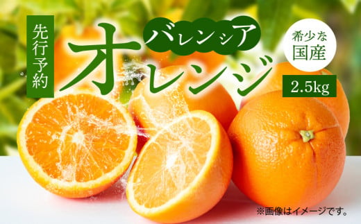 ya̎RLcS󒬁zG7078_󏭂 Y oVAIW 2.5kg Gi