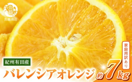 【和歌山県有田郡湯浅町】G7080_希少な 国産 バレンシアオレンジ 7kg 【家庭用 訳あり】【国産オレンジ オレンジ 柑橘 フルーツ 和歌山 有田】