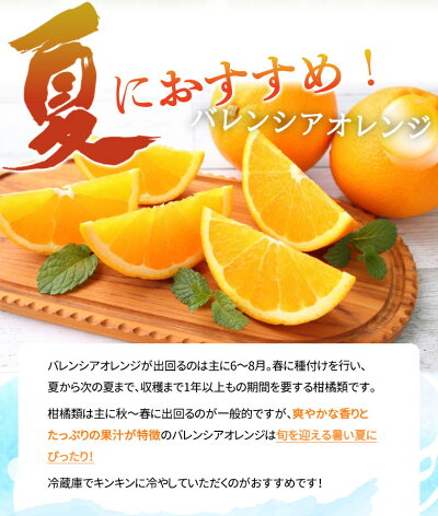G7080_希少な 国産 バレンシアオレンジ 7kg 【家庭用 訳あり】【国産オレンジ オレンジ 柑橘 フルーツ 和歌山 有田】