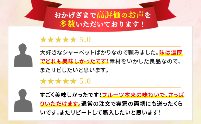 シャーベット すみだモダン認定 フルーツシャーベット 詰め合わせ セット マチヤス アイス アイスクリーム ソルベ 生 フルーツアイス フルーツアイスクリーム スイーツ フルーツ 果物 ギフト プレゼント 贈答 贈答品 贈り物 お祝い 冷凍 東京