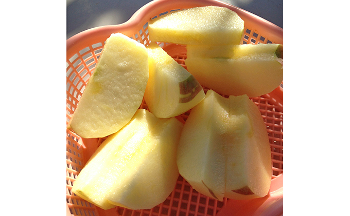 長野県下最大級 りんご狩り体験 りんご狩り発祥園 体験チケット 環境 優しい 安心 安全 こだわり 低農薬 有機肥料 循環型 定番 オリジナル 新品種　 