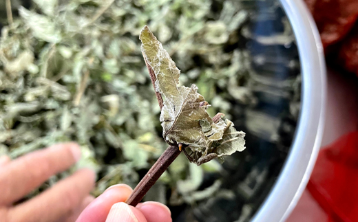 タラノキ茶 45g (1.5g x 30包) お茶 茶葉 ティーパック 健康茶