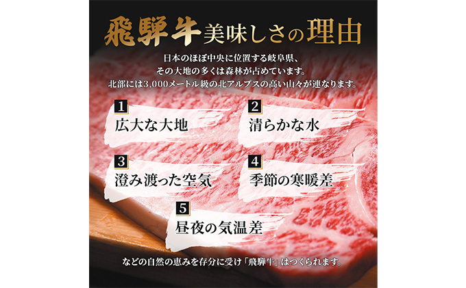 ふるさと納税　飛騨牛 ロース＆カルビ 焼肉 セット  計600g A5 和牛 牛肉 お肉 ロース カルビ 食べ比べ 焼肉用 バーベキュー BBQ 