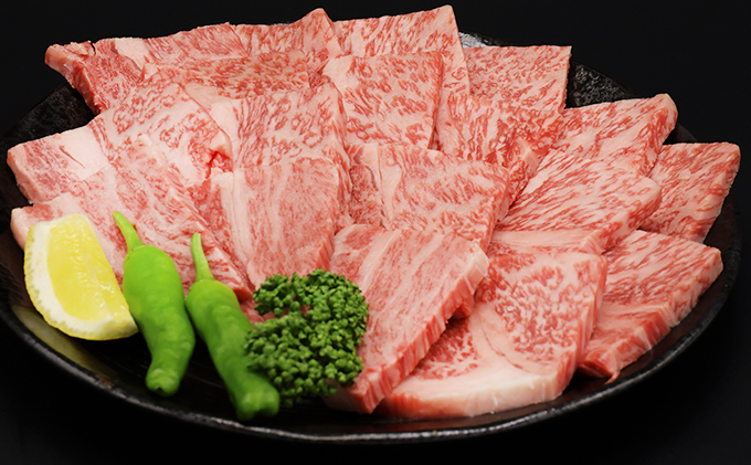 ふるさと納税　飛騨牛 ロース＆カルビ 焼肉 セット  計1kg A5 和牛 牛肉 お肉 ロース カルビ 食べ比べ 焼肉用 バーベキュー BBQ 