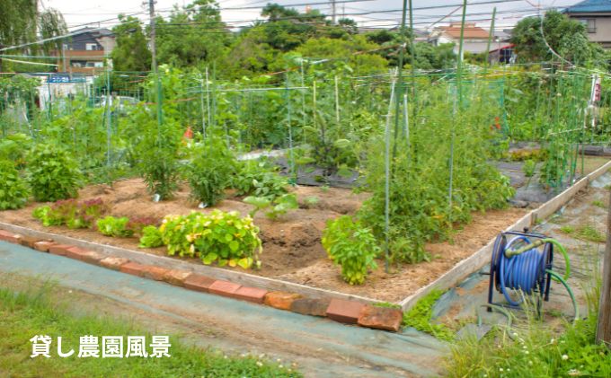 下田ビレッジ農園 半年間（6ヶ月間） ご利用券 体験チケット 愛知県 貸し農園 肥料完備 道具完備 ロッカー完備 野菜作り 畑 貸農園チケット レンタル レンタルファーム 