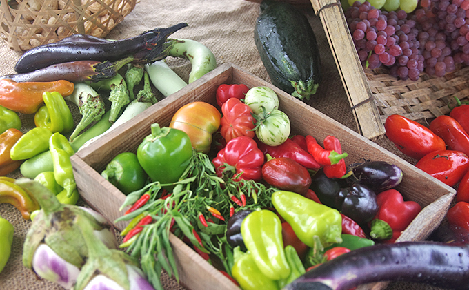 下田ビレッジ農園 半年間（6ヶ月間） ご利用券 体験チケット 愛知県 貸し農園 肥料完備 道具完備 ロッカー完備 野菜作り 畑 貸農園チケット レンタル レンタルファーム 