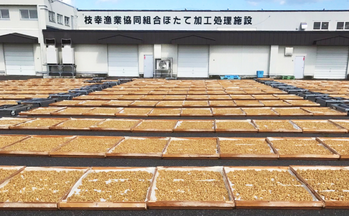 北海道枝幸町のふるさと納税 【枝幸ほたて】1等干し貝柱 7粒入×5個【 ほたて 帆立 ホタテ 魚貝類 魚介類 北海道 オホーツク 枝幸 】