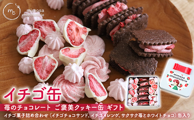 イチゴ缶 苺のチョコレート ご褒美クッキー ギフト セット