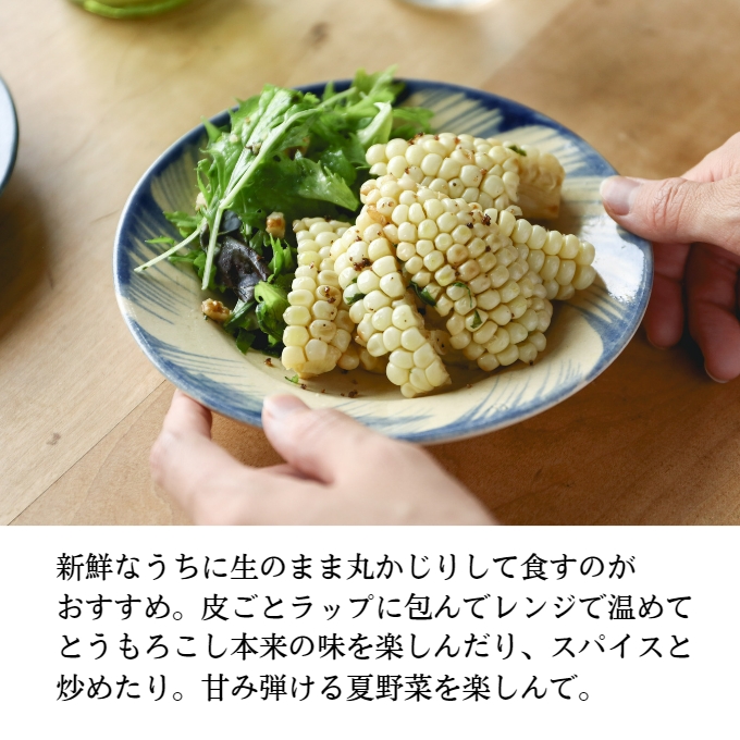  ［2026年先行予約］ 牛窓産とうもろこし まるでフルーツ！ 生で甘い、茹でて美味い！ 白色とうもろこし 「うしまどんな」約4kg（8～12本入り） 野菜 ホワイトコーン 夏野菜 おやつ 間食 お弁当 バーベキュー BBQ