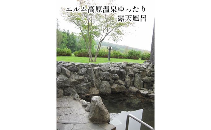 北海道赤平市のふるさと納税 エルム高原リゾート コテージ宿泊券（日帰り温泉入浴券付き） チケット 温泉利用券