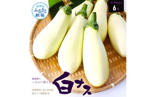 ym|zKYN003@s\ iX6{ - Ȃ ֎q 1{180gȏ  VN  O^ V`[ ^gDC mH aH   ӂ邳Ƃ̂ ̋[ 6000~ ԗi m m