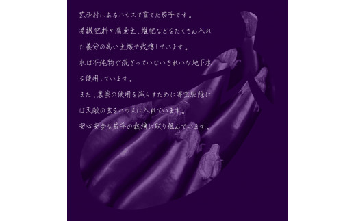 【先行予約】KYN001　茄子（1本約70g）約20本入り - 高知県産 芸西村 ナス なす 野菜 新鮮 お取り寄せ 美味しい 煮浸し 味噌汁 麻婆茄子 料理 ふるさとのうぜい 故郷納税 7000円 返礼品 高知県 高知