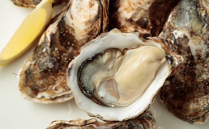 2026年4月～6月配送 厚岸産　殻付カキ Lサイズ20個（生食用）牡蠣 魚貝類 海鮮 海の幸 生食用牡蠣 オイスター 厚岸産生牡蠣 マルえもん 