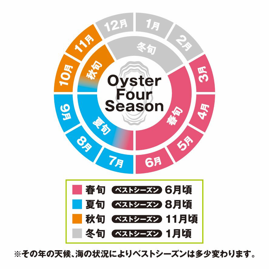 2026年4月～6月配送 厚岸産　殻付カキ Lサイズ20個（生食用）牡蠣 魚貝類 海鮮 海の幸 生食用牡蠣 オイスター 厚岸産生牡蠣 マルえもん 