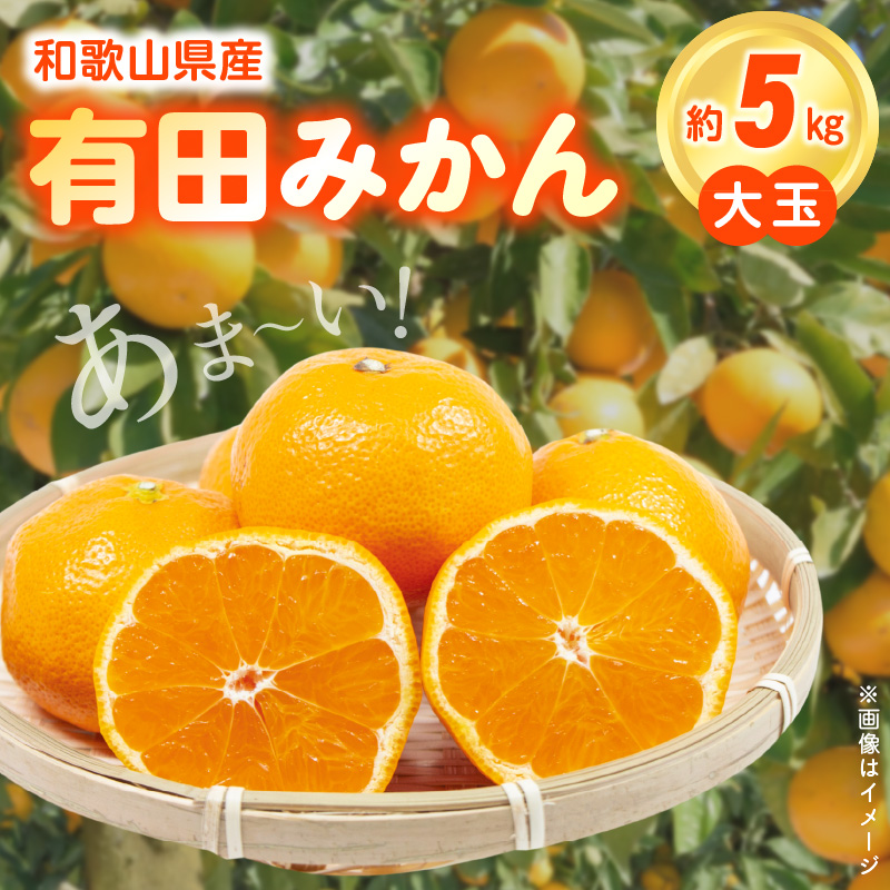 みかん 温州みかん愛紅小町 あいかちゃん3L～特大サイズミックス！