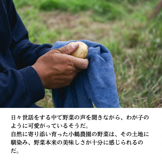 小鶴農園 季節のお野菜7～9品目セット（農薬・化学肥料不使用）【配達不可：北海道・沖縄・離島】 詰合せ 