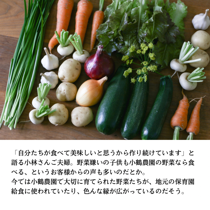 小鶴農園 季節のお野菜7～9品目セット（農薬・化学肥料不使用）【配達不可：北海道・沖縄・離島】 詰合せ 