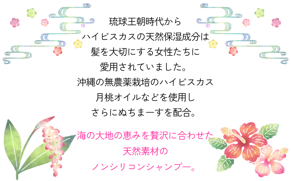 塩とハイビスカスのシャンプー「ぬち髪」×2本　ハイビスカス　ノンシリコン　ノンシリコンシャンプー　シャンプー　ぬちまーす　ヒアルロン酸　植物性ヒアルロン酸　うるおい　潤い　ハリ　コシ　塩　パラベンフリー　月桃　艶　ティーツリー