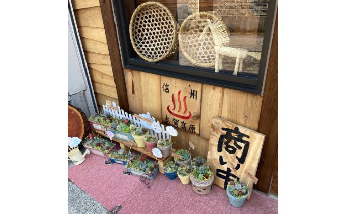 長野県産小麦粉パン米粉焼き菓子のセット お菓子 スイーツ 全粒粉 ライ麦粉 天然酵母 ハードパン カンパーニュ シフォンケーキ 体に優しい 