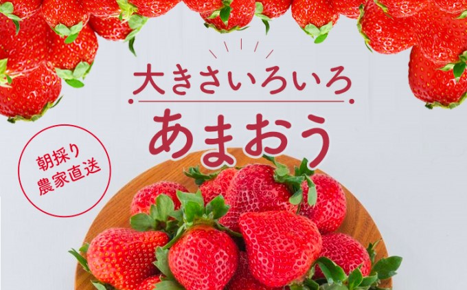 訳あり いちご 2026年2月下旬より発送 あまおう サイズ色々 6パック 約1.71kg 配送不可 離島 果物 フルーツ 福岡県産あまおう 