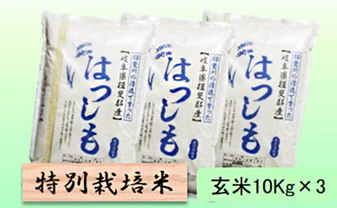 特別栽培米★玄米30kg【ハツシモ】10Kg×3 お米 ブランド米 銘柄米 ご飯 アッサリ 幻のお米 大粒 