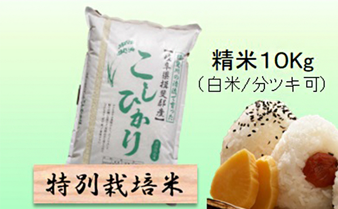 みーこ 無農薬コシヒカリ玄米10kg,5分づき10kg,焼き海苔 上20枚 楽天市場】無農薬 分つき米 玄米 無化学肥料米 米10kg (5kg×2