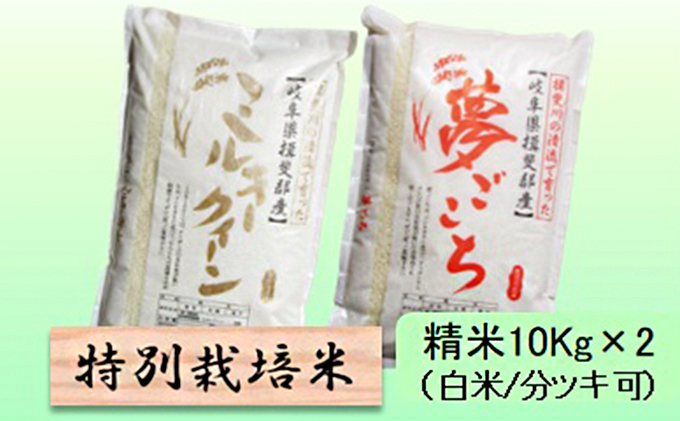 特別栽培米☆精米20kg（白米/5分/7分ツキ可）【ミルキークイーン・夢