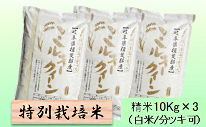 特別栽培米★精米30kg（白米/5分/7分ツキ可）【ミルキークイーン】 玄米は別に出品 お米 ブランド米 銘柄米 ご飯 モチモチ 低アミロース米 