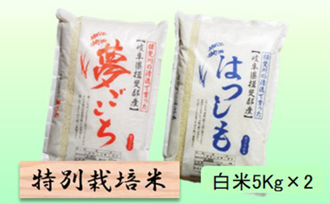 特別栽培米★白米10kg 【夢ごこち・ハツシモ】各5Kg お米 ブランド米 銘柄米 ご飯 モッチリ 冷めても美味しい 大粒 アッサリ 