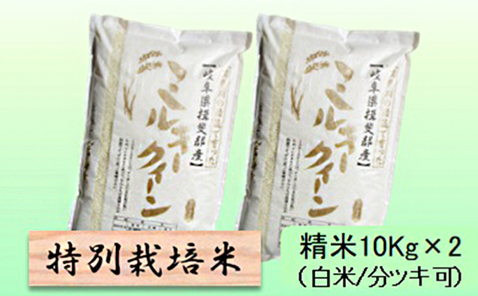 特別栽培米★精米20kg（白米/5分/7分ツキ可）【ミルキークイーン】 玄米は別に出品 お米 ブランド米 銘柄米 ご飯 モチモチ 低アミロース米 