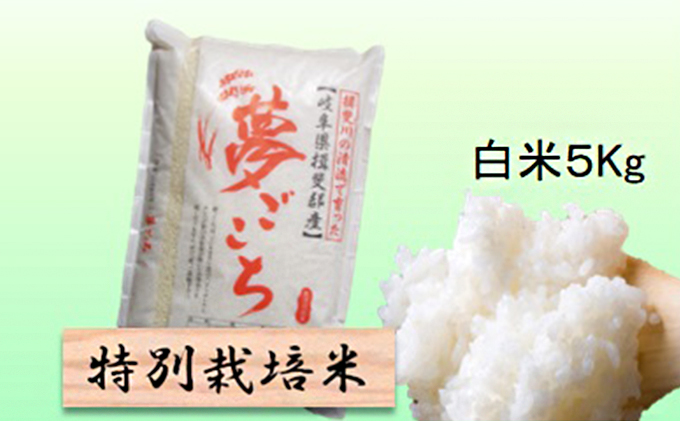特別栽培米★白米５kg 【夢ごこち】 お米 ブランド米 銘柄米 精米 ご飯 おにぎり モッチリ 甘い 低アミロース米 