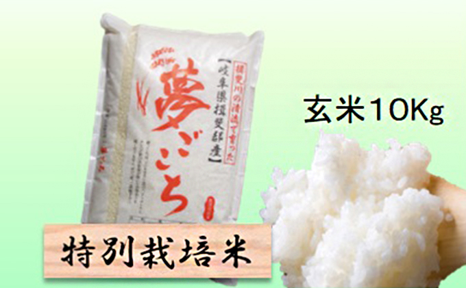 特別栽培米★玄米10kg 【夢ごこち】 お米 ブランド米 銘柄米 ご飯 おにぎり モッチリ 甘い 低アミロース米 冷めても美味しい 