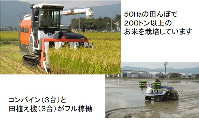 特別栽培米★精米20kg（白米/5分/7分ツキ可）【ミルキークイーン】 玄米は別に出品 お米 ブランド米 銘柄米 ご飯 モチモチ 低アミロース米 