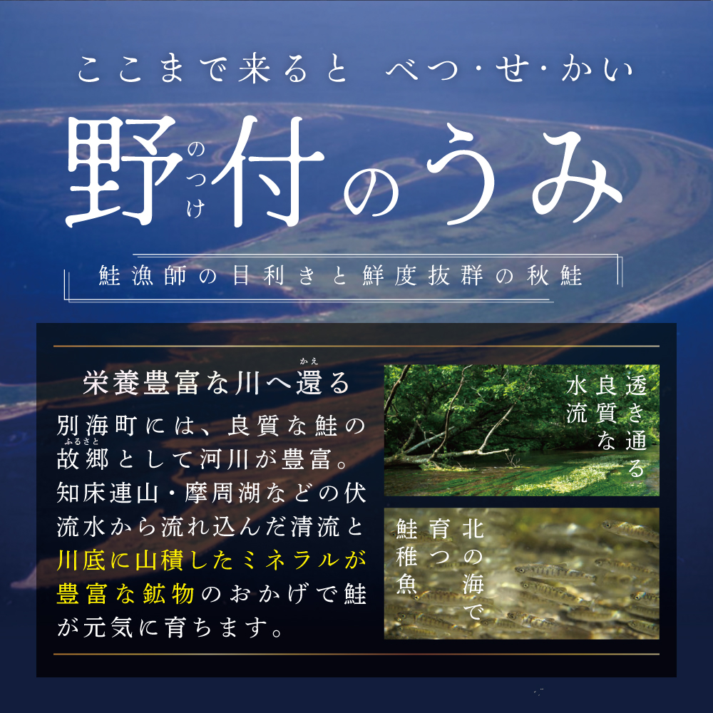 北海道別海町のふるさと納税 【訳あり】「秋鮭の切り身（無塩）」1.4kg（ 鮭 秋鮭 シャケ 秋シャケ 北海道産鮭 北海道産秋鮭 道産鮭 道産秋鮭 鮭切り身 鮭切身 さけ さけ切り身 さけ切身 国産鮭 国産秋鮭 地場産鮭 地場産秋鮭 ふるさと納税 訳あり 訳あり鮭 訳ありシャケ 訳あり秋鮭 訳あり切り身 訳あり 切身）