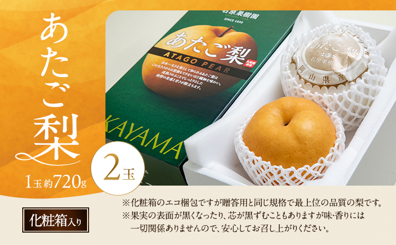 梨 2026年 先行予約 あたご梨 2玉 (1玉 約720g) 化粧箱【11月下旬～12月中旬頃発送】 ナシ なし 岡山県産 国産 フルーツ 果物 ギフト 石原果樹園 繊細な味 ジャンボ梨 