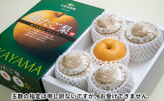 梨 2025年 先行予約 あたご梨 4～9玉 合計約4kg 化粧箱【11月下旬～12月中旬頃発送】 ナシ なし 岡山県産 国産 フルーツ 果物 ギフト 石原果樹園 繊細な味 ジャンボ梨 