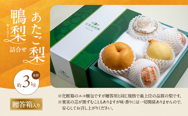 梨 2026年 先行予約 あたご梨・鴨梨（ヤーリー）詰合せ 合計約3kg あたご1～3玉 鴨梨3～5玉 贈答箱【11月下旬～12月中旬頃発送】 ナシ なし 岡山県産 国産 フルーツ 果物 ギフト 石原果樹園 食べ比べ 